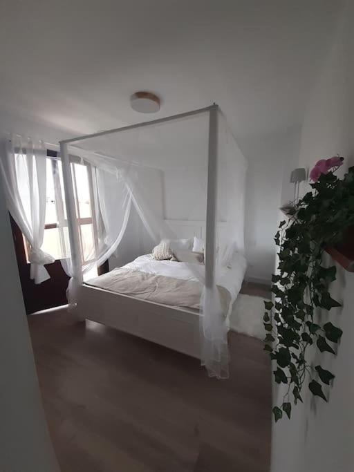 Casa Completa Loredo Beach Ngoại thất bức ảnh